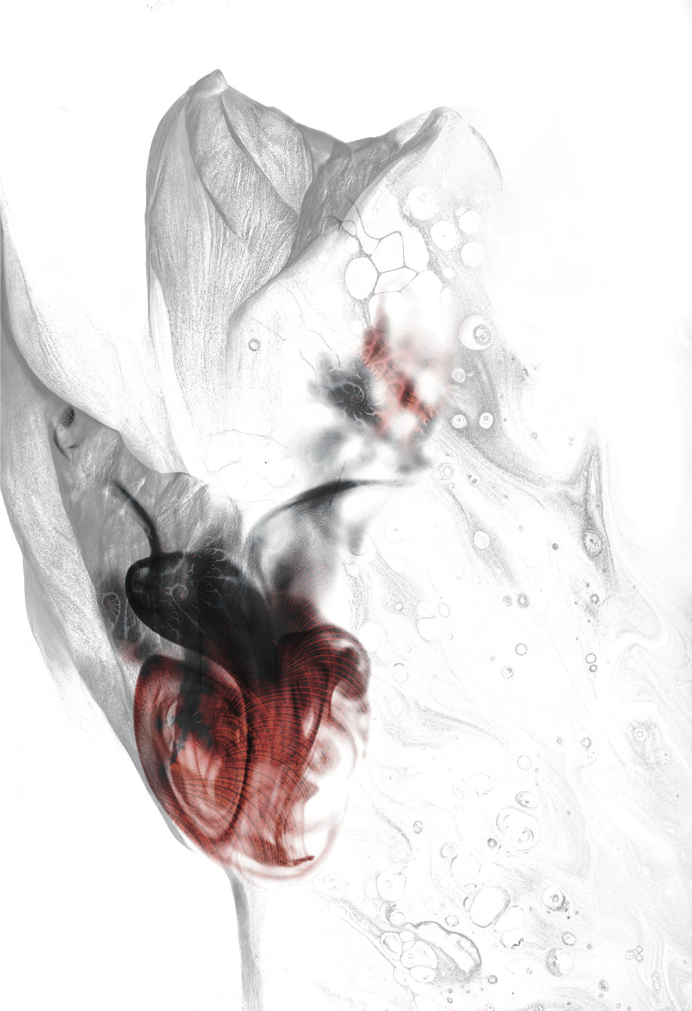 MEDIA/ART - COLLAGE - Darked, 2022, Jonny Garcia.jpg|ART - COLLAGE - Darked, 2022, Jonny Garcia.jpg