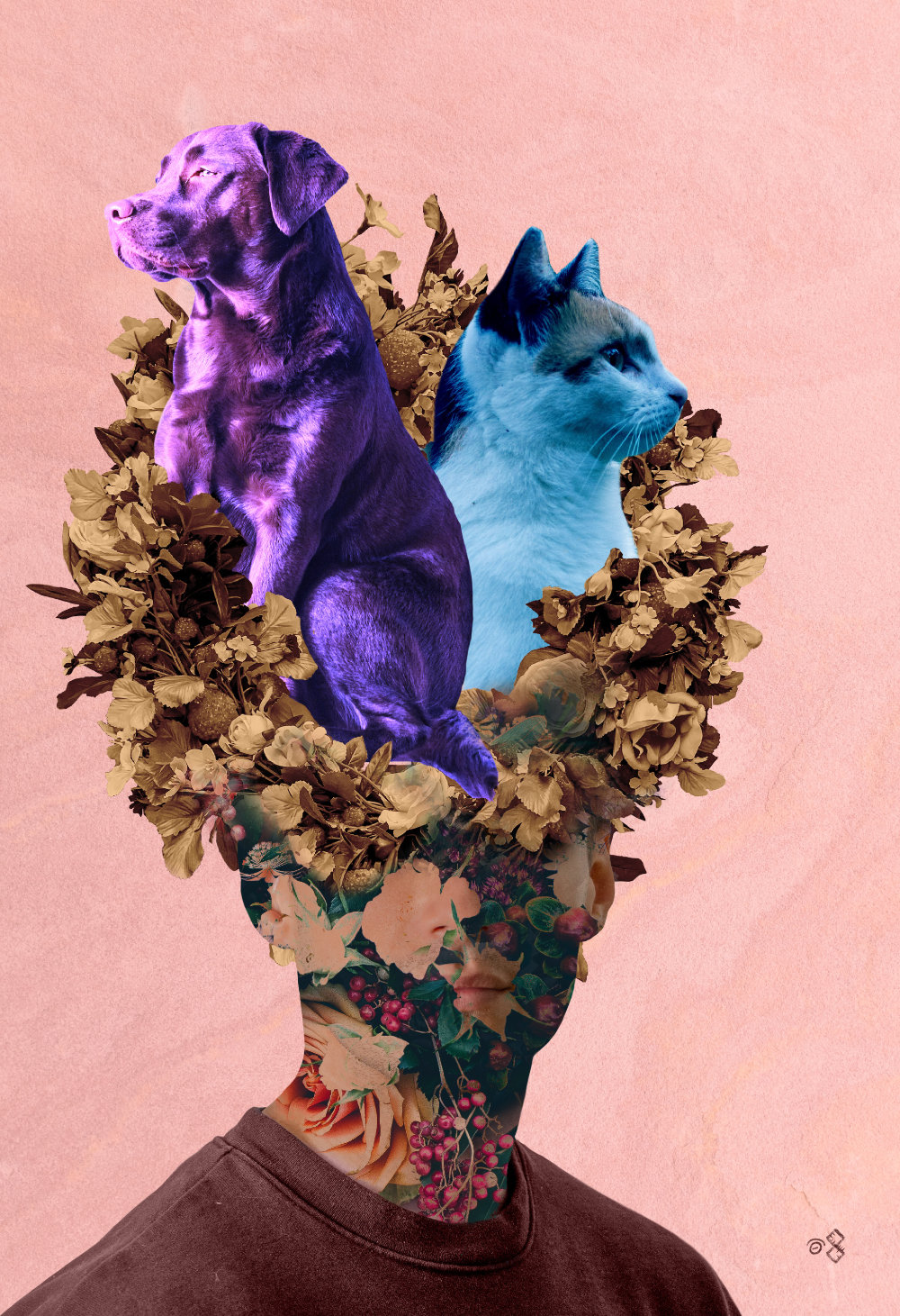 MEDIA/ART - COLLAGE - Domestic_Thoughts, 2020, Jonny Garcia.jpg|ART - COLLAGE - Domestic_Thoughts, 2020, Jonny Garcia.jpg