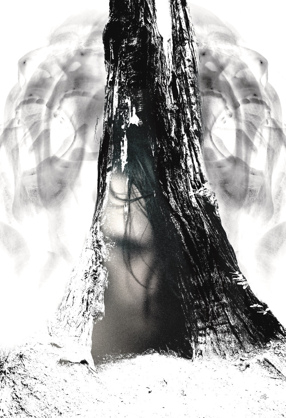 MEDIA/ART - COLLAGE - Dry, 2022, Jonny Garcia.jpg|ART - COLLAGE - Dry, 2022, Jonny Garcia.jpg