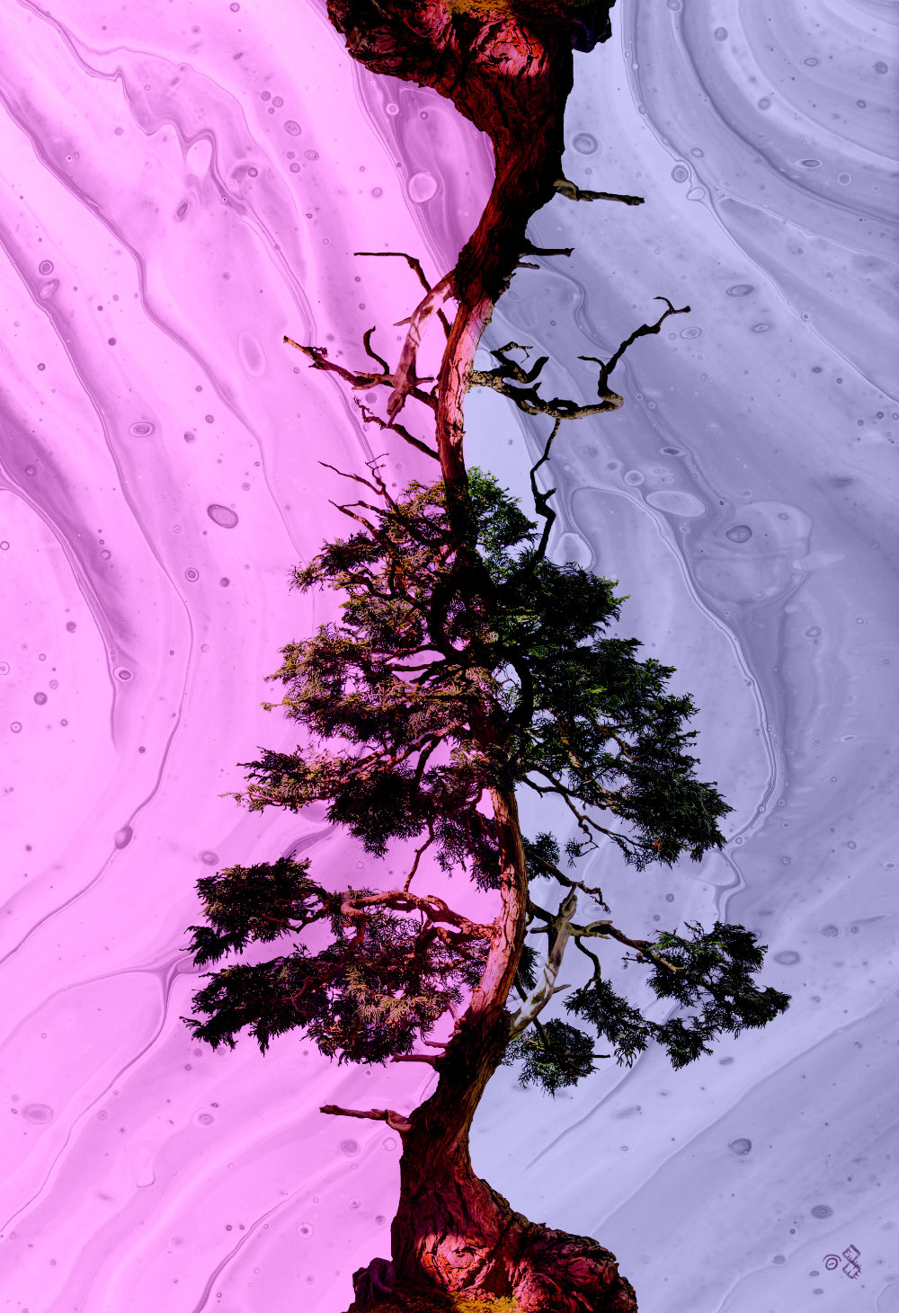 MEDIA/ART - COLLAGE - Duality, 2020, Jonny Garcia.jpg|ART - COLLAGE - Duality, 2020, Jonny Garcia.jpg