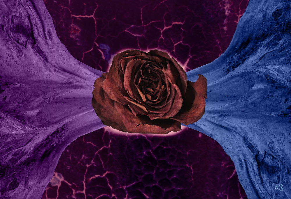 MEDIA/ART - COLLAGE - Dying_Force, 2020, Jonny Garcia.jpg|ART - COLLAGE - Dying_Force, 2020, Jonny Garcia.jpg