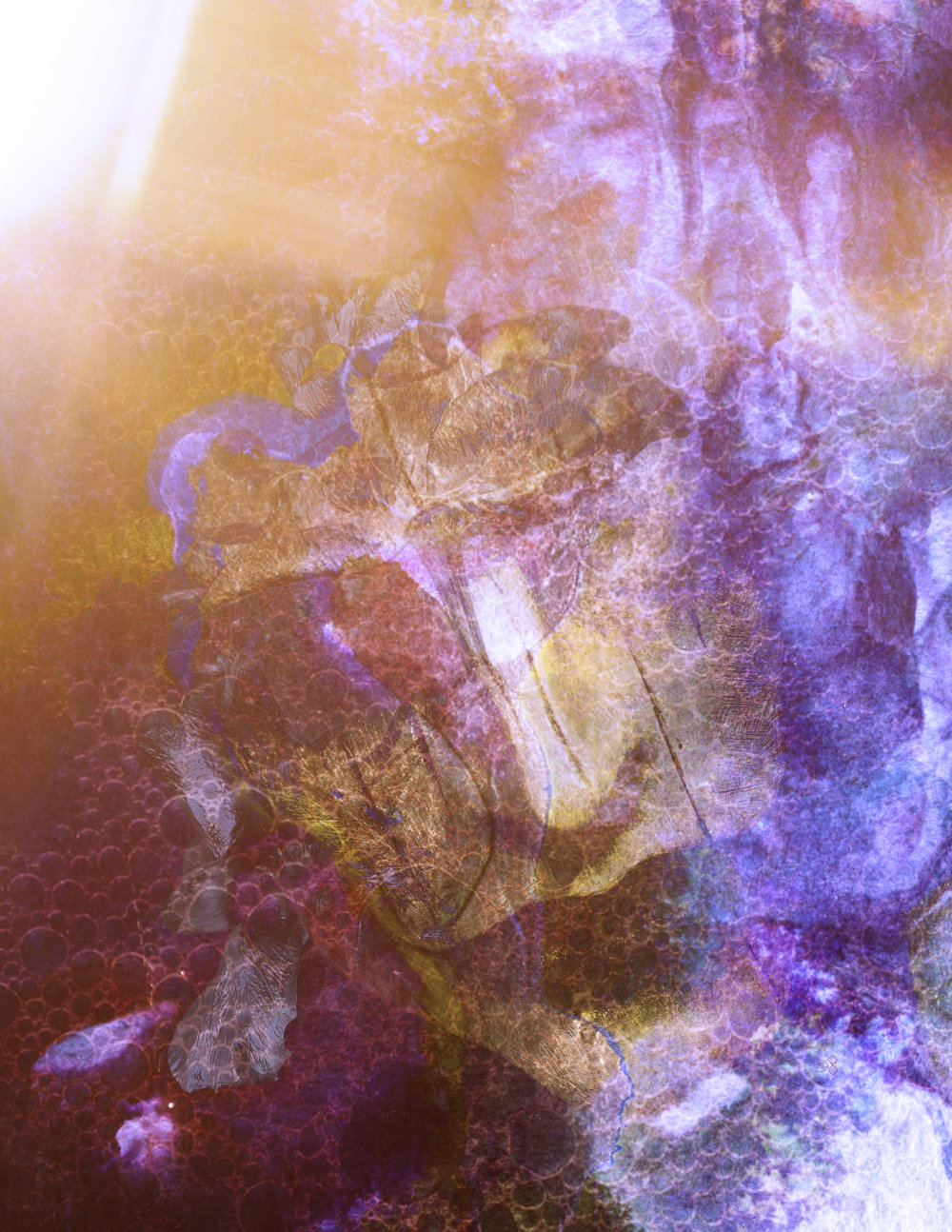 MEDIA/ART - COLLAGE - Foolish, 34x44, 2026, Jonny Garcia.jpg|ART - COLLAGE - Foolish, 34x44, 2026, Jonny Garcia.jpg