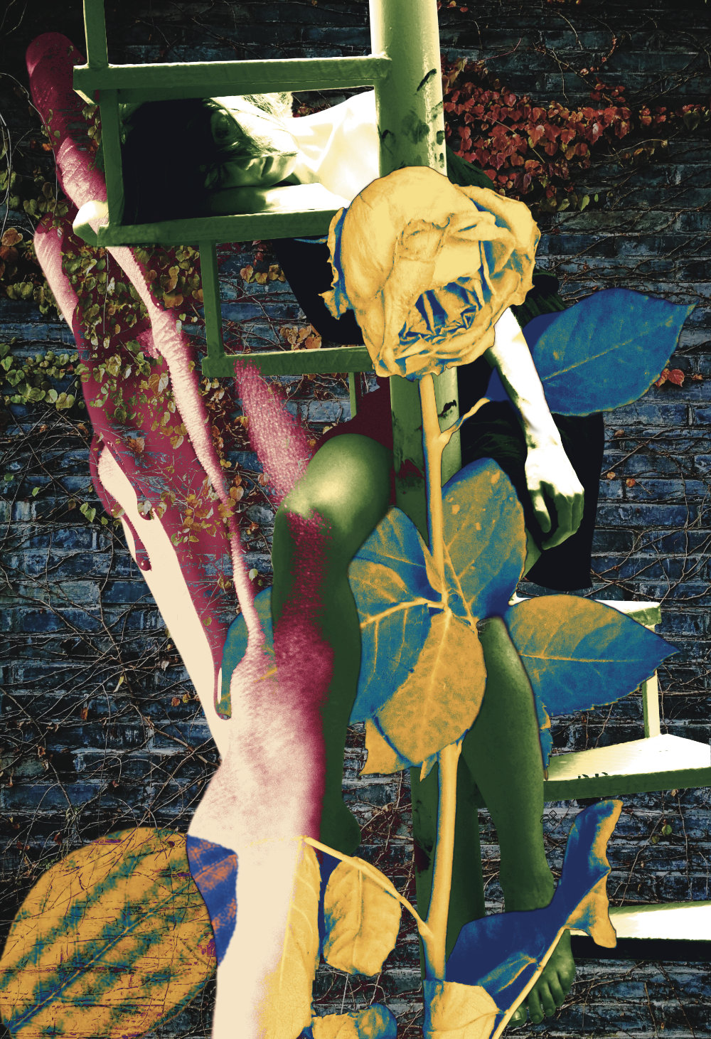 MEDIA/ART - COLLAGE - Nonentity,_2025,_Jonny_Garcia.jpg|ART - COLLAGE - Nonentity,_2025,_Jonny_Garcia.jpg