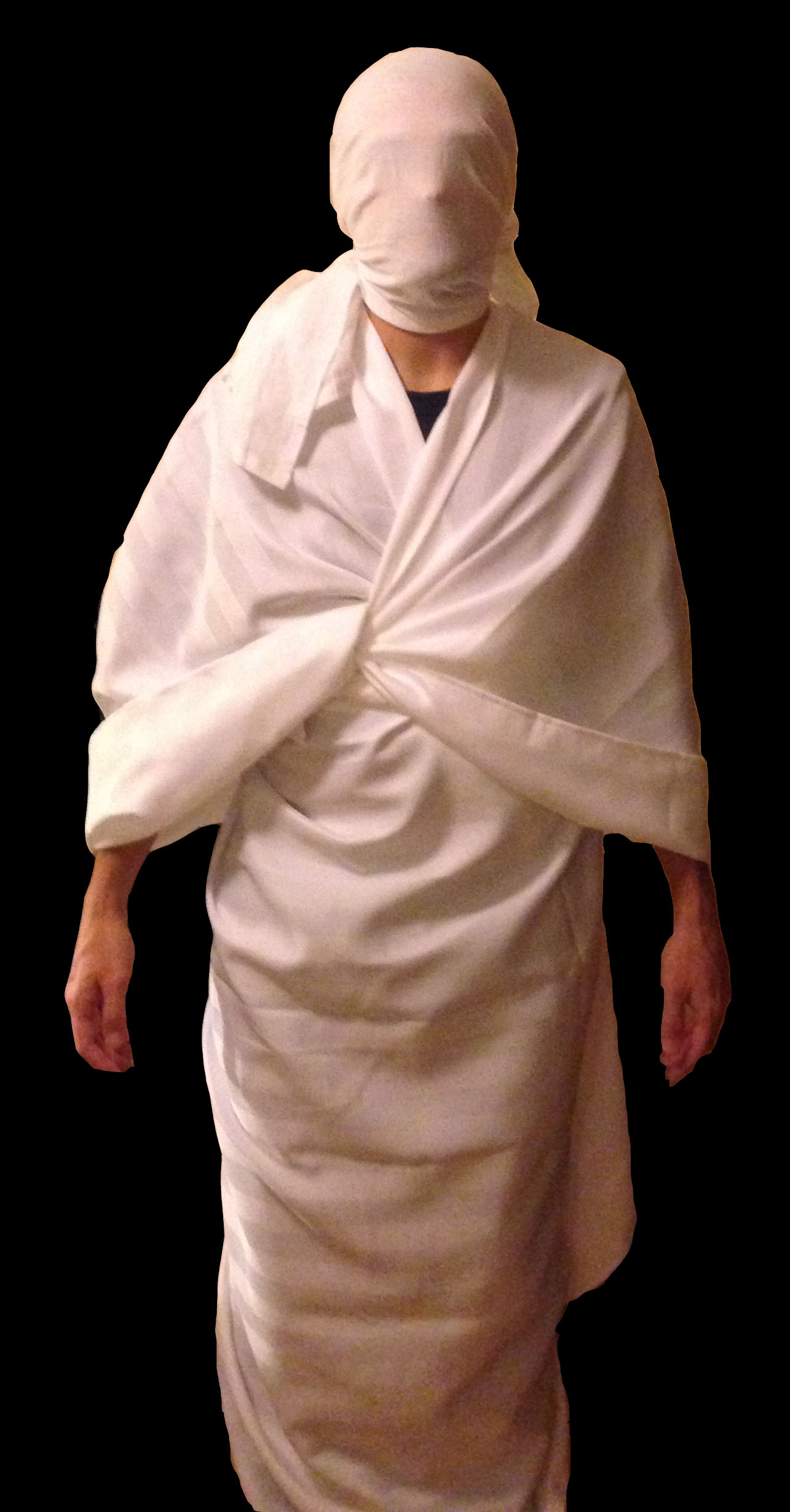 GAME - LARP - LIMBO - THE HOST.jpg|300